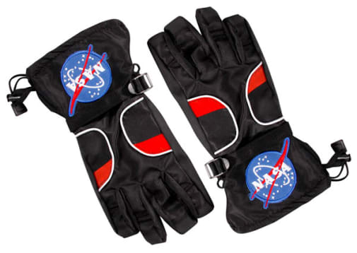 Aeromax Astronaut Gloves - Black (Large)