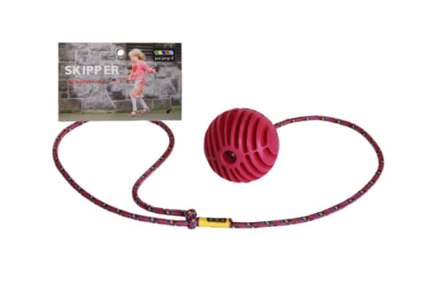 Raspberry Skipper Toy