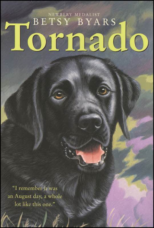Tornado by Betsy Byars