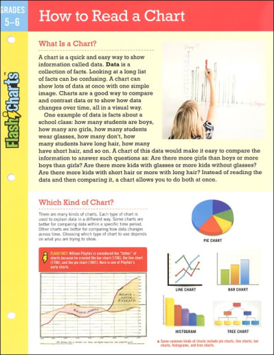 How to Read a Chart FlashChart