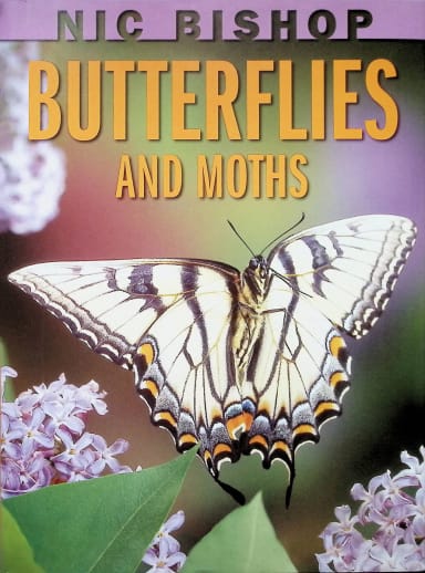 Nic Bishop: Butterflies and Moths