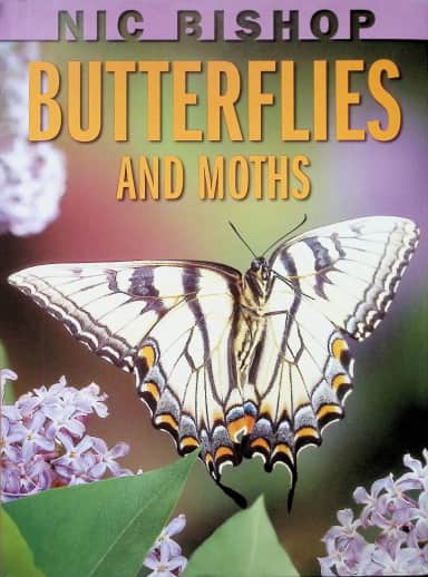 Nic Bishop: Butterflies and Moths