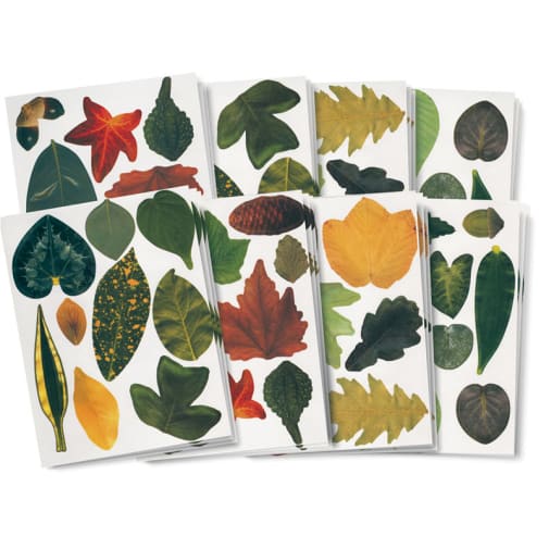 Craft Leaves (266 leaves)
