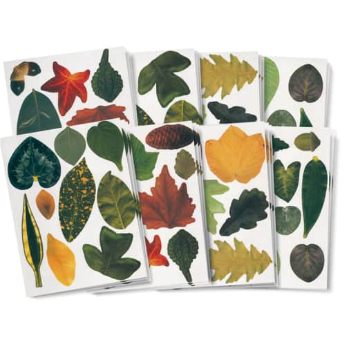 Craft Leaves (266 leaves)