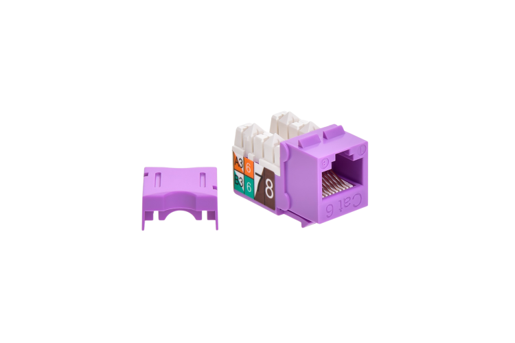 Cat6 RJ45 110 Type Keystone Jack, 50-Micron Gold Plating Contact Pins, Purple Cat6 RJ45 110 Type Keystone Jack, 50-Micron Gold Plating Contact Pins, Purple