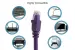 CAT6A Ethernet Patch Cable, Half-moon Boot, UTP, 20ft, Purple