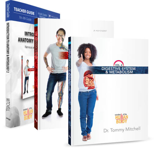 Introduction to Anatomy & Physiology 2 Package