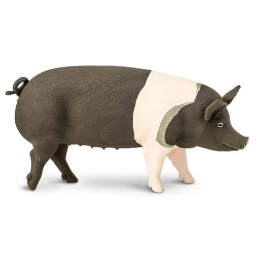 Safari Hampshire Pig (Farm Collection)