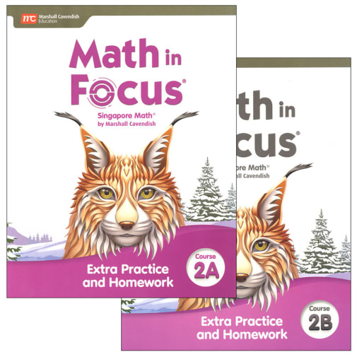 Math in Focus 2020 Extra Practice and Homework Collection Course 2A/2B