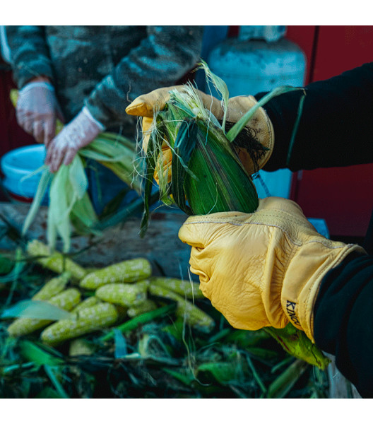 Grain Cowhide Driver, Tan, large