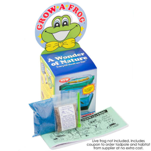 Grow-A-Frog Kit