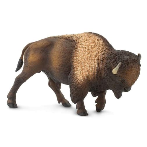 Bison (North American Wildlife)