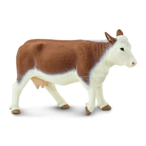 Hereford Cow (Safari Farm)