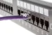 20ft Purple Non-Booted CAT6 Ethernet Patch Cable
