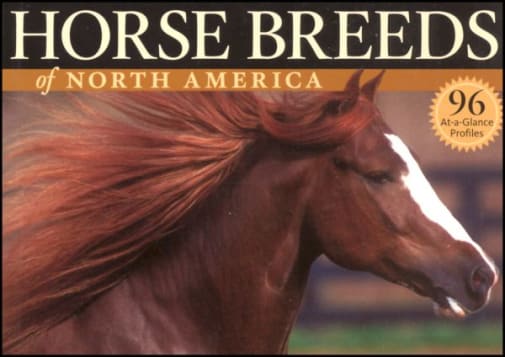 Horse Breeds of North America