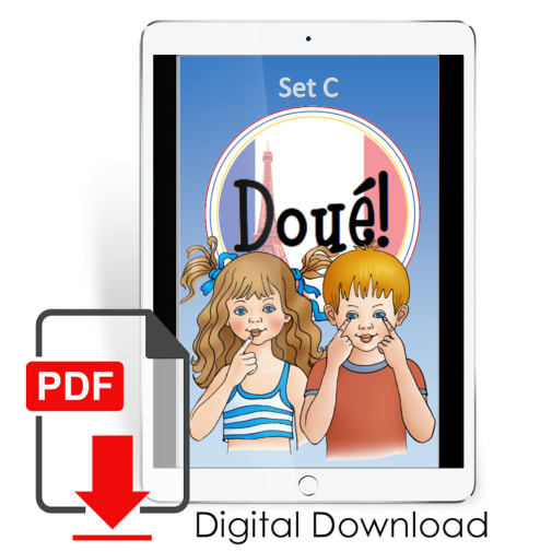 Brillliant! French Level 1 Flashcards Set C PDF Download