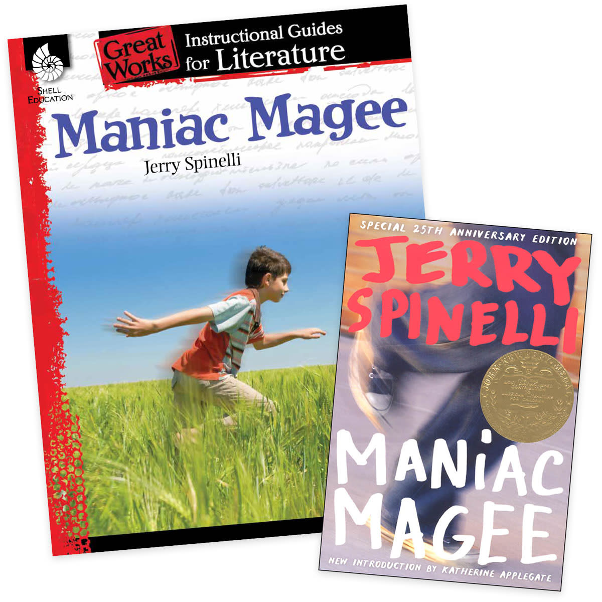 Maniac Magee Instructional Guide for Literature Set