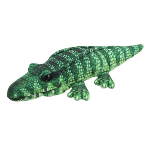 Little Creatures: Crocodile