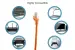 Cat6 Shielded Ethernet Patch Cable, Easyboot, STP, 3 ft, Orange