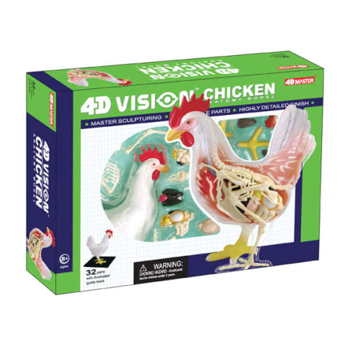 4D Vision Chicken Anatomy Model