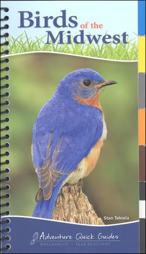 Birds of the Midwest (Adventure Quick Guide)