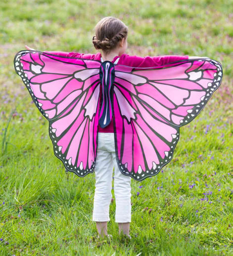 Colorful Butterfly Wings - Pink