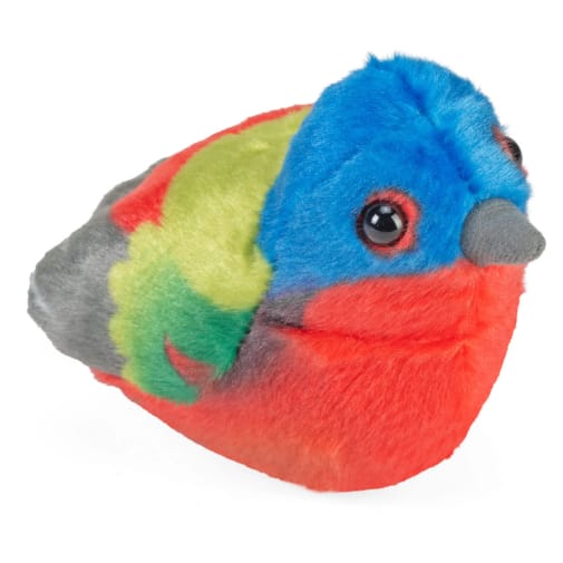 Audubon Bird: Painted Bunting With Real Bird Call