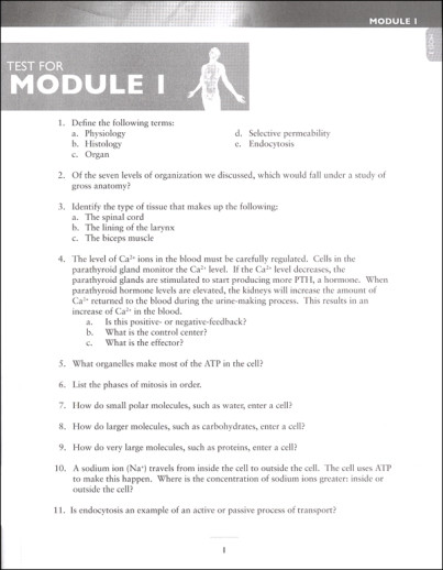 Tissues of the Human Body - Advanced