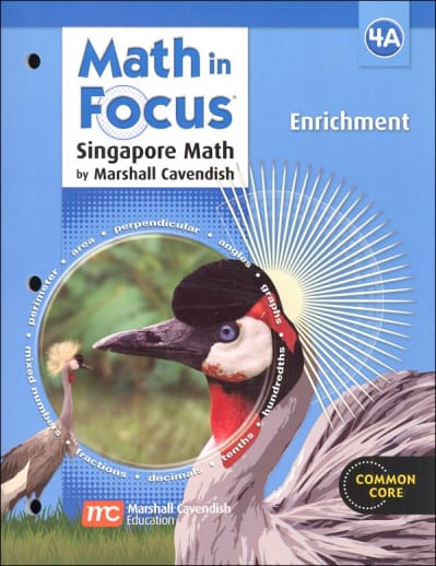 Math in Focus Grade 4 Enrichment A