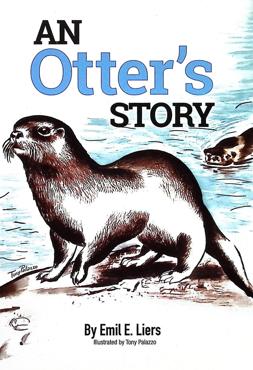 Otter's Story (Animal Stories)