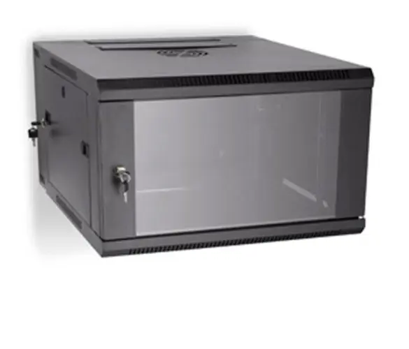 LINIER 6U 19in Swing-Out Wall Mount Cabinet with Glass Door