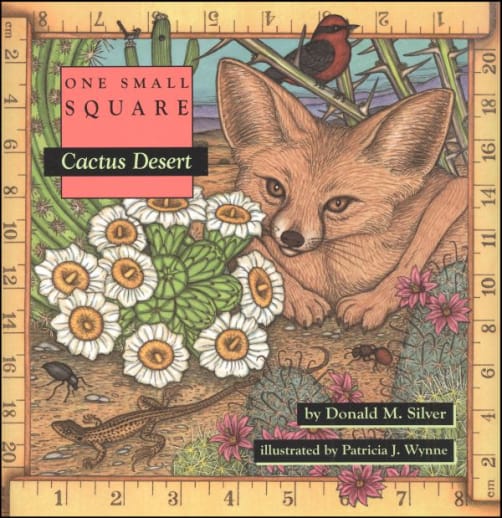 One Small Square: Cactus Desert
