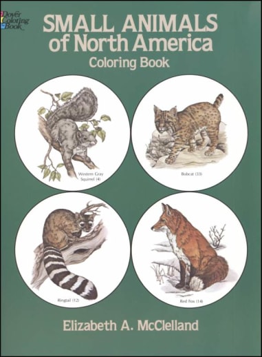 Small Animals of North America Coloring Book