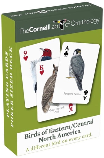Birds of Eastern / Central North America Playing Cards