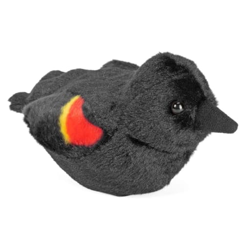 Audubon Bird: Red-Winged Blackbird With Real Bird Call