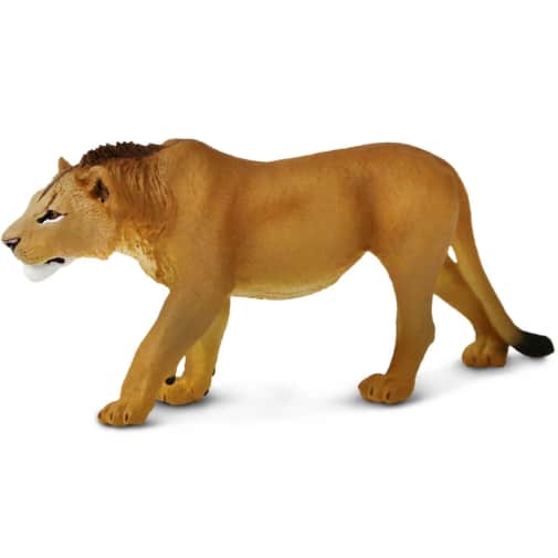 Safari Adolescent Male Lion (North America Wildlife Collection)