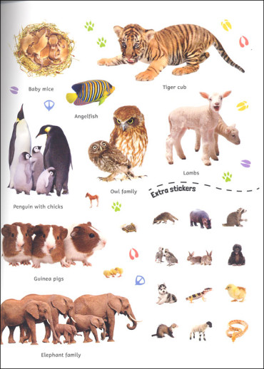 DK: Sticker Encyclopedia Animals (Paperback) - Walmart.com