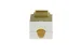 Cat6 RJ45 110 Type Keystone Jack, Ivory