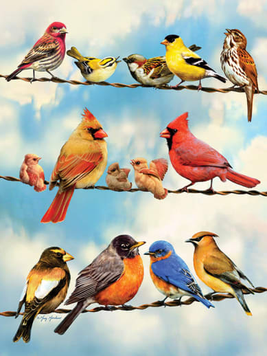 Cobble Hill Birds on a Wire Puzzle (500 Pieces)