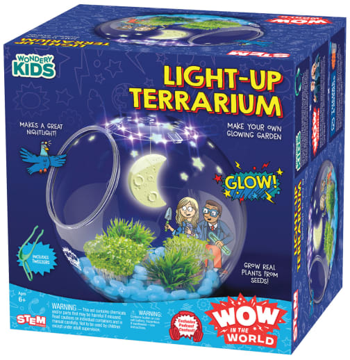 WOW in the World: Light-Up Terrarium