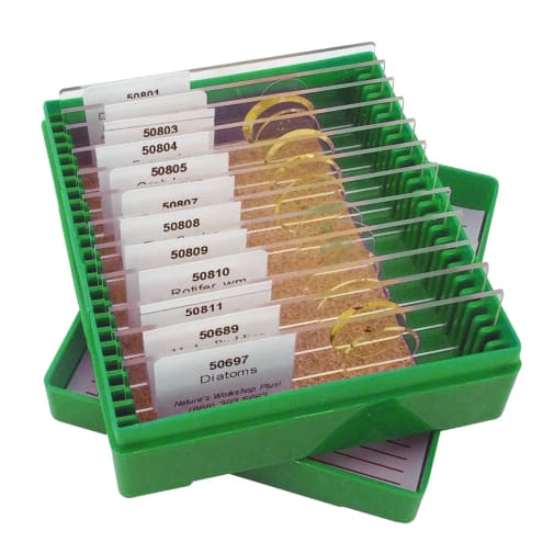 Marine Biology Slide Set (2nd Edition)