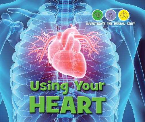 Using Your Heart (Investigate the Human Body)