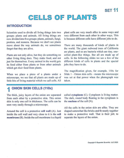 Cells of Plants Microslide Lesson Set