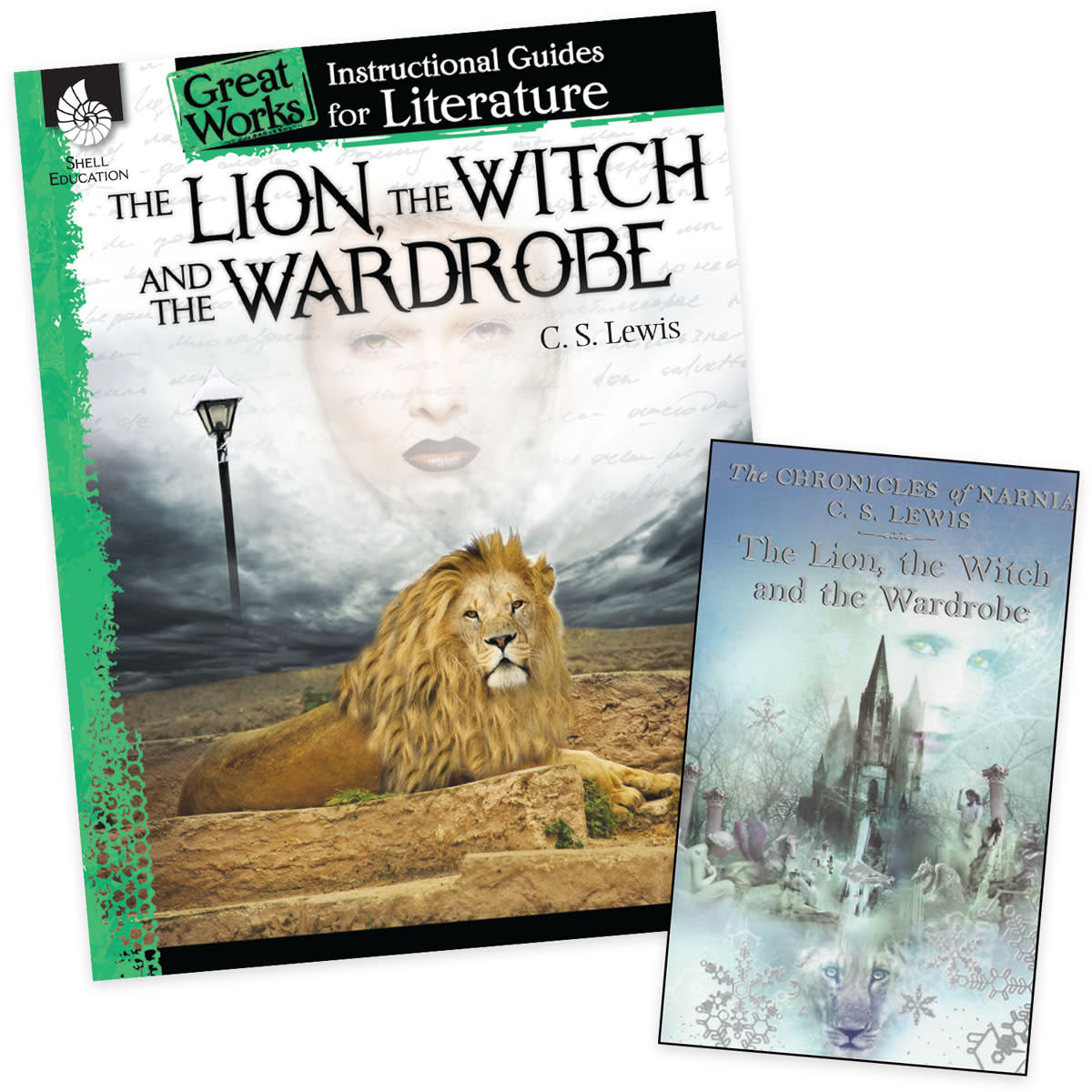 Lion, the Witch & the Wardrobe Instructional Guide for Literature Set