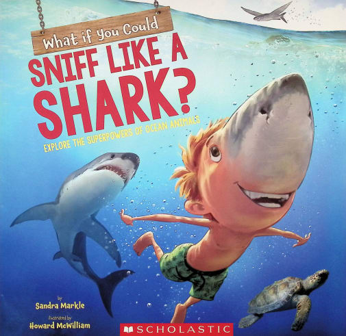 What If You Could Sniff Like a Shark?