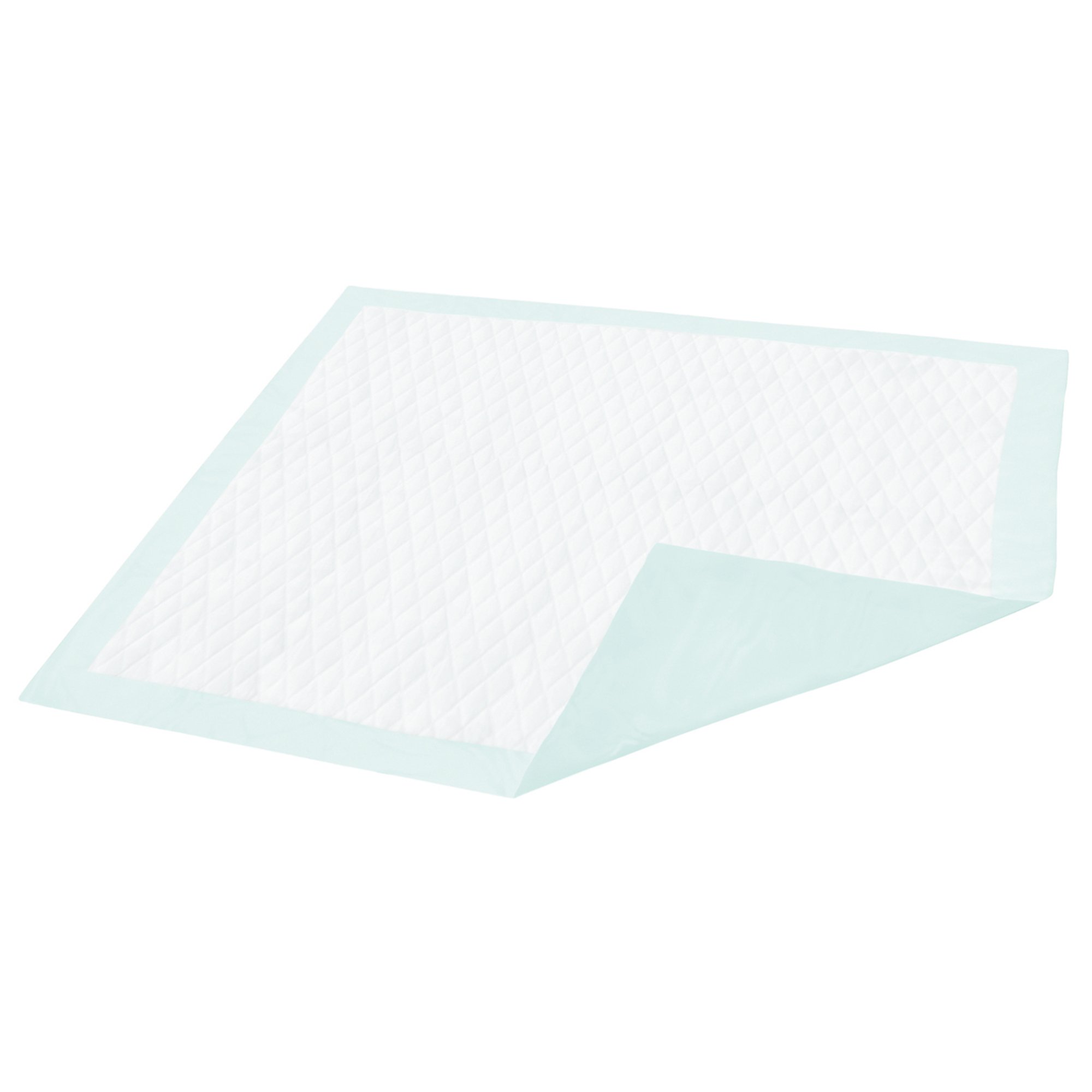 Dignity Light Absorbency Underpad, 23 x 26 Inch MK 1191631
