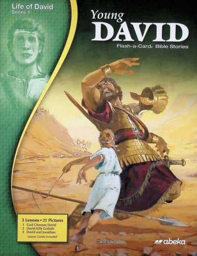 Abeka Young David Flash-a-Card Bible Stories