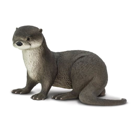 River Otter (Incredible Creatures)