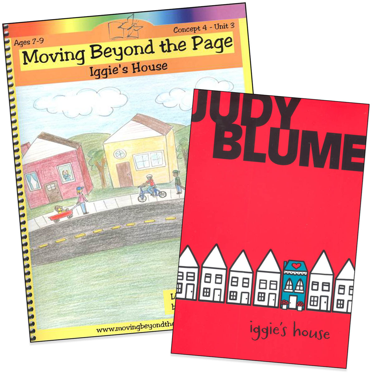 Iggie's House Literature Unit Package