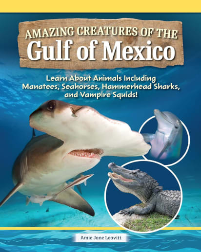 Amazing Creatures of the Gulf of Mexico